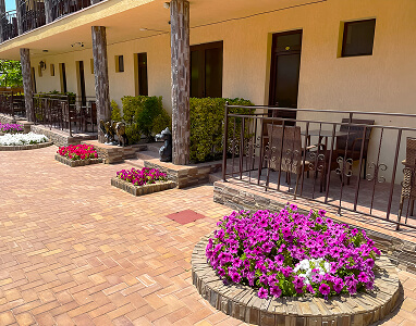 Фото: Зона отдыха и территория 11