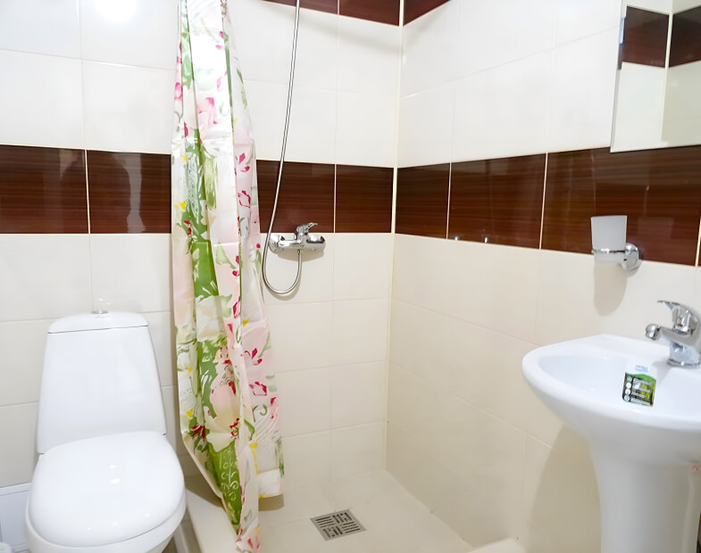 Фото номера Стандарт двухместный с двумя кроватями 4